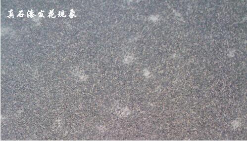 重庆香蕉污视频软件真石漆发花如何处理